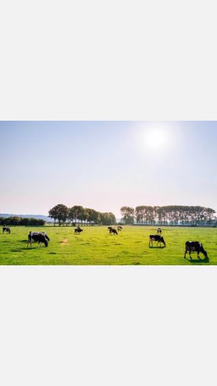 Photo by Leon EphraÃ¯m on Unsplash.jpg