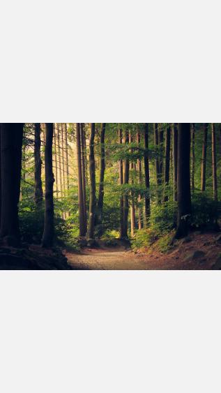 Photo by Lukasz-szmigiel-on-unsplash.jpg