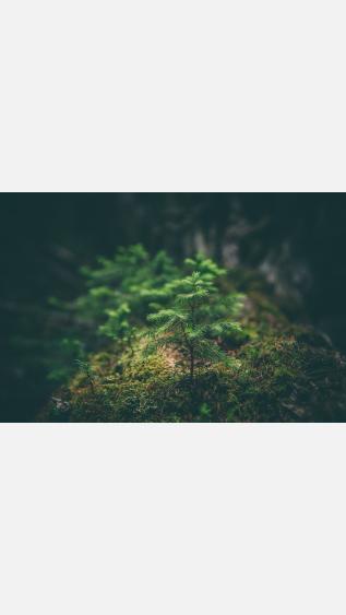 Photo by Matthew Smith on Unsplash.jpg