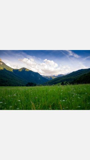 Photo by Nikola-majksner-on-unsplash.jpg