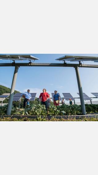 Photo by Science in HD on Unsplash.JPG