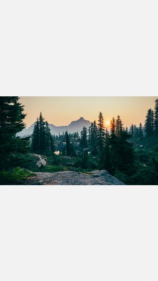 Photo by Sergei-Akulich on unsplash.jpg