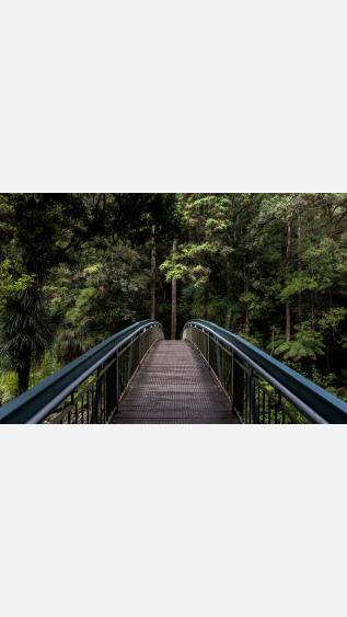 Photo by Tim-swaan-on-unsplash.jpg