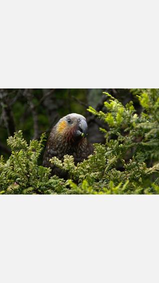 Photo by Tomas-sobek-on Unsplash.jpg