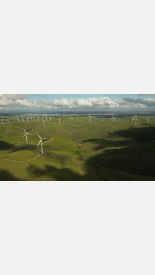 Photo by Tyler-casey-on-unsplash.jpg