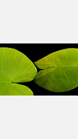 Photo by anne-nygard-4l-n2hq-PGc-unsplash (2).jpg