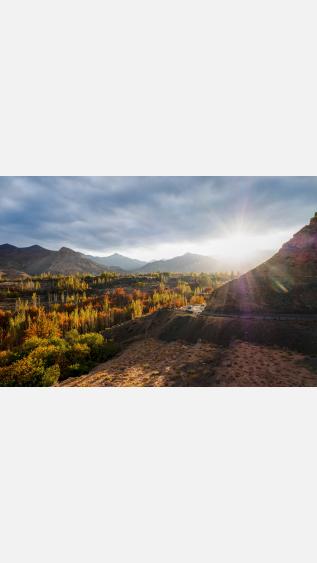 Photo by sam-moqadam-JjYhagSxnOU-unsplash.jpg