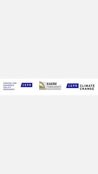 Second CEPR EAERE Webinar on Climate Policy Pandemic stimulus spending and the fight against climate change_CEPR EAERE.JPG