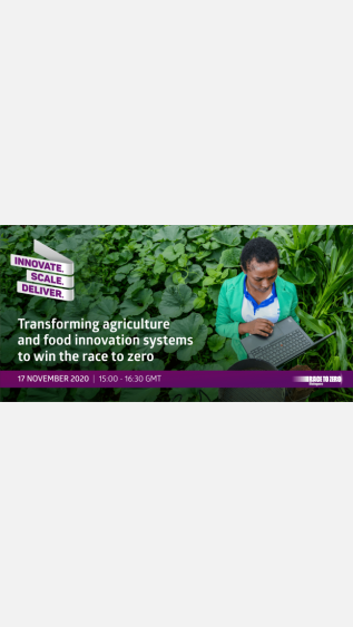Transforming Agriculture and Food Innovation Systems to Win the Race to Zero_CGIAR