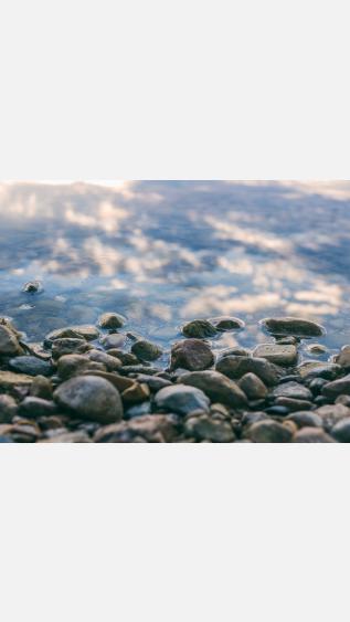 Photo by Aaron Burden on Unsplash