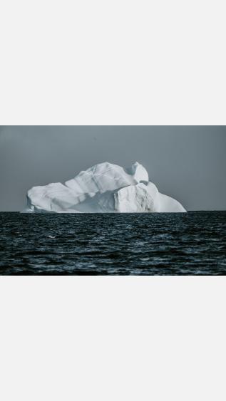 Photo by Annie Spratt on Unsplash