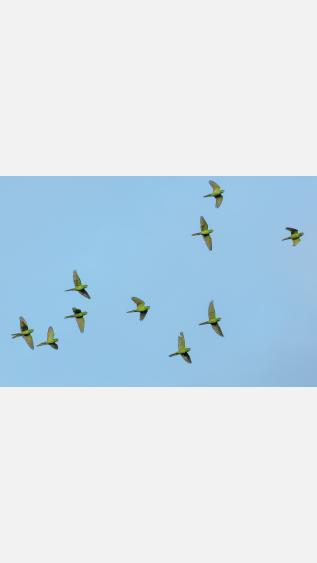 Photo by Gareth Davies - Unsplash 