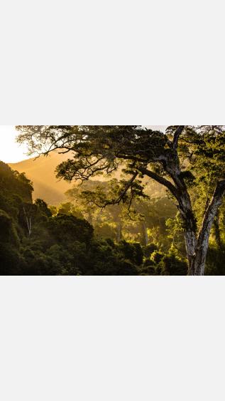 Photo of Nature Valley, South Africa, by redcharlie on Unsplash