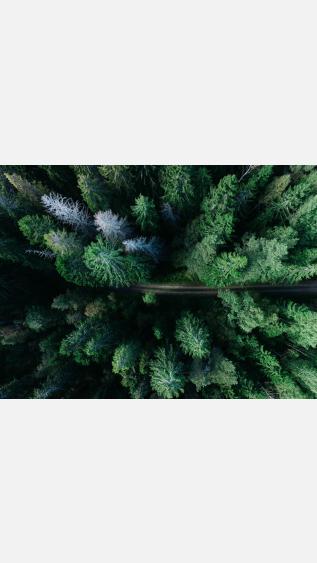 photo from unsplash.jpg