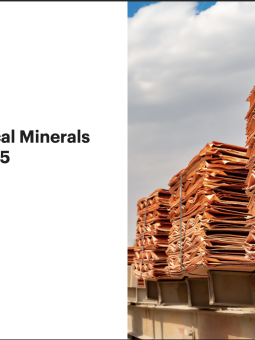 Global critical minerals outlook 2025