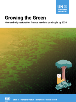 Growing the Green 