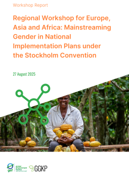 Regional Workshop for Europe, Asia and Africa Mainstreaming Gender in National Implementation Plans under the Stockholm Convention
