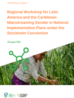 Regional Workshop for Latin America and the Caribbean: Mainstreaming Gender in National Implementation Plans under the Stockholm Convention