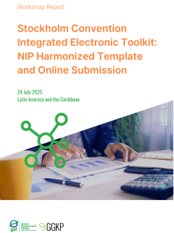 Workshop Report_SC Integrated Toolkit (LAC)