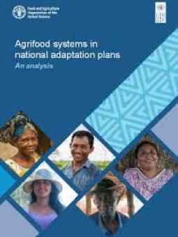FAO agrifood cover