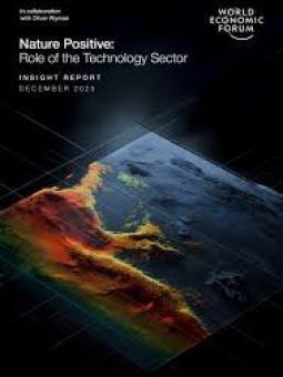 WEF Nature Positive cover