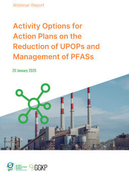 Webinar Report_ActionPlans2_2026Jan