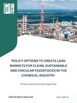 CEPS policy options