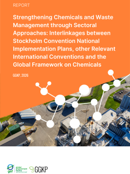 Cover_Sectoral approach NIPs link to GFC