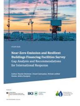 Near-Zero Emission and Resilient Buildings Financing Facilities Survey