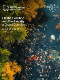 Plastic Pollution and Biodiversity