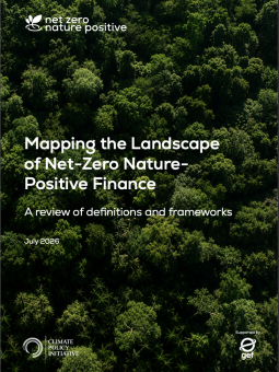 Mapping the landscape