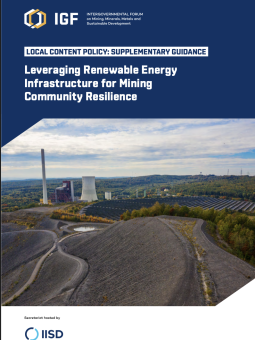 Leveraging Renewable Energy