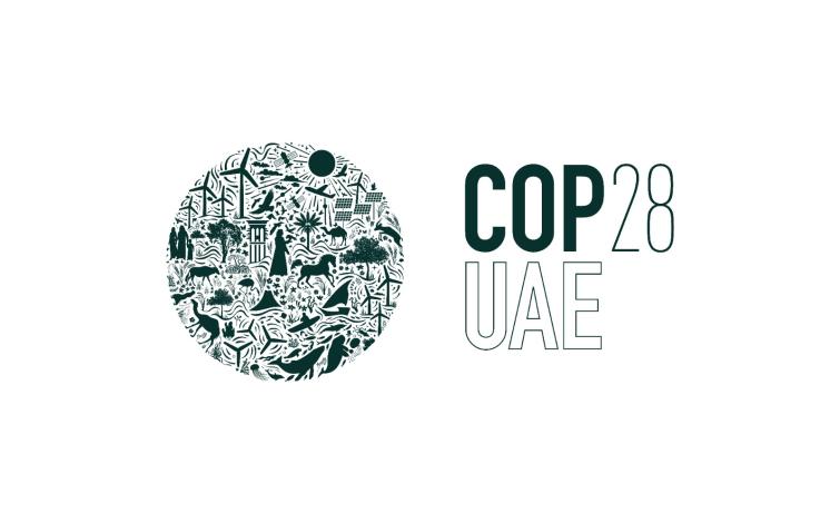 COP 28 Charts Course For A Sustainable Future