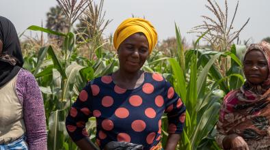 Female farmers in Malawi