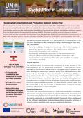 Factsheet SCP-NAP Lebanon.jpg