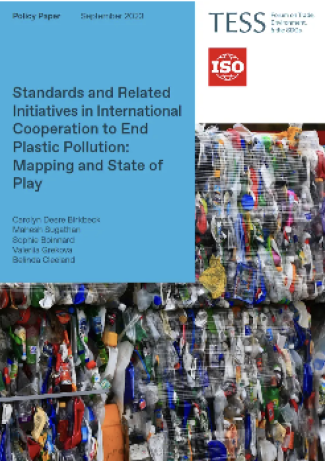 Standards and Related Initiatives in International Cooperation to End Plastic Pollution: Mapping and State of Play