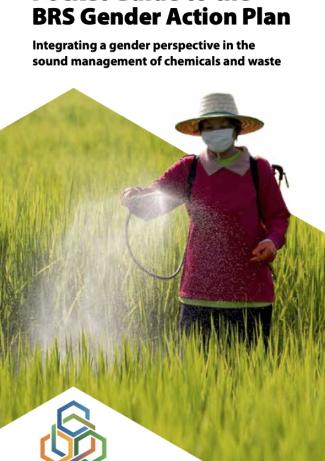 Pocket Guide to the BRS Gender Action Plan