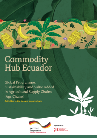 Commodity Hub Ecuador
