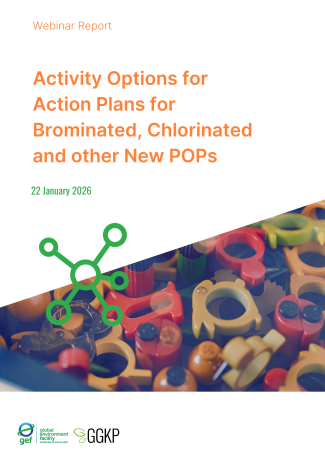 Webinar Report_ActionPlans3_2026Jan