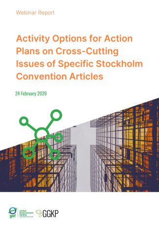 Webinar Report_ActionPlans4