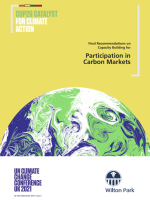 Final recommendations on Capacity Building for inclusive and ambitious global carbon market participation in support of the Paris Agreement_Climate Transparency.