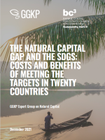 natural capital gap (ggkp)