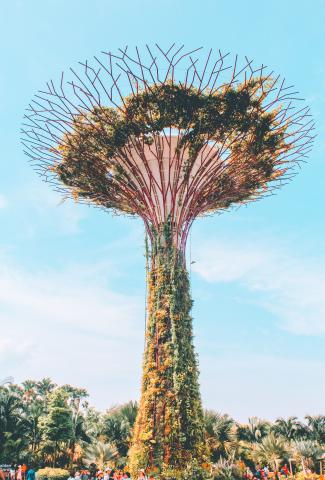 Photo by Victor Garcia on Unsplash
