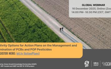 Activity Options for Action Plans on the Management and Elimination of PCBs and POP Pesticides 