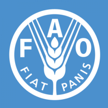 FAO logo