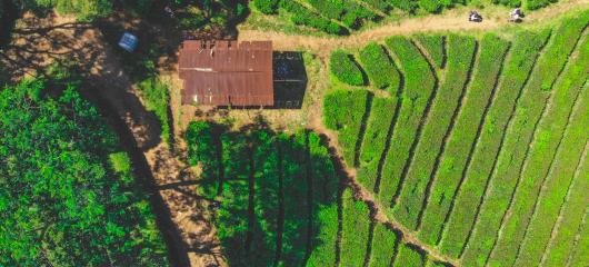 Birds eye view landscape of a shed surrounded by green fields