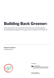 Building Back Greener_UNEP