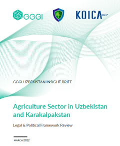 Insight-brief_legal-political