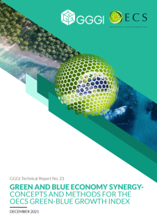Green and Blue Growth Synergy – Concept for the OECS Green-Blue Growth Index_GGGI