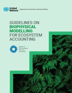 Guidelines on Biophysical Modelling for Ecosystem Accounting_UNSD